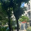 Công ty TM điện tử viễn thông cần tuyển 2 nữ nhân viên văn phòng 