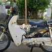 Cup Dalim 50cc 2020
