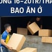 HCM TUYỂN TÀI XẾ CHẠY TẢI B2,C,D LƯƠNG 20TR | BHXH, BHYT | LÀM ỔN ĐỊNH