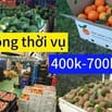 TUYỂN PHỤ XE LÀM TẠI LONG AN | LƯƠNG NGÀY 400-700K| BAO ĂN Ở