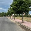 Mở bán duy nhất có 39 lô vị trí lõi trung tâm Phố Cổ - Hội An