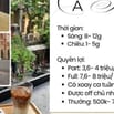 VIỆC LÀM PARTIME/ FULLTIME CHO KHU VỰC BÌNH THẠNH và các quận lân cận