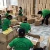 Tuyển Gấp Nhân Viên Kho, Đóng Gói