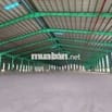 Cho thuê xưởng 55.000m2 trong Hớn Quản Bình Phước