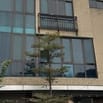 Tuyển 10 sales BDS tại khu vực Hà Nội