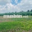 đất đẹp gần biển giá hời , Dc: Tân Điền , Gò Công dt:129m2 , Full Thổ