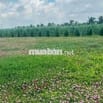 Đất đẹp đầu tư Ven biển Tân thành Gò Công Tiền Giang 117m2 chỉ 720tr