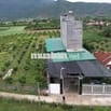 Bán đất ở tại Ninh Thượng, Ninh Hòa, Khánh Hòa, tặng kèm nhà yến