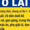 Cần nữ phụ việc nhà quận Tân Bình