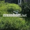 Đất thổ cư 160m² Tân Long, cách biển 1km, chợ Lagi 500m, đường ô tô