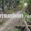 Đất sổ hồng 2132m2 ở Thị xã Cai Lậy Tiền Giang