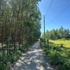 Bán 5x27(135m2) 62m2 Tc Hẻm Lý Nam Đế Tân Phước LaGi Giá 650 Triệu