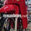 con xe mới dọn