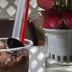 CẦNGẤP.( Việc làm thêm )🥤CẦN GẤP VÀI BẠN PHỤ 𝐁Á𝐍 𝐂𝐀𝐅𝐄 ,ĐỒ UỐNG
