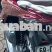 Vison biển phát lộc
