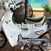 BÁN XE WARE HALIM 50cc