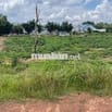 Cần bán lô đất vườn 20x52 hơn 1000m2 bán 290 triệu