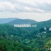 Đất nền có vị trí tại Đường Khe Sanh, Phường 10, Đà Lạt, Lâm Đồng.