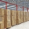 BỔ SUNG NHÂN VIÊN LÀM VIỆC KHU VỰC TP. HỒ CHÍ MINH