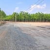 Bán đất thổ cư phường Chơn Thành giá 300triệu