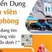 Nhân viên văn phòng đăng tin về xe Ô Tô