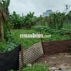 Đất 100m² thổ cư, Hẻm đối diện THPT Ngô Quyền, ô tô vào tận nơi