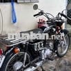 cd 50 zin nguyeen con