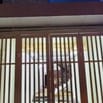 Cho thuê nguyên căn nhà 2 mặt tiền Lê Văn Việt, Tăng Nhơn Phú A, TĐ
