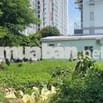 Bán gấp đất 120m2/550tr tại Đ. Lộ Thiên Hương, Rạch Giá,Kiên Giang,SHR