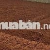 CHÍNH CHỦ CẦN BÁN NHANH LÔ ĐẤT Xã N'Thôn Hạ, Đức Trọng, Lâm Đồng