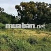 Chính chủ về quê muốn bán lại lô đất giá rẻ , sổ sẵn có thổ cư