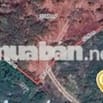 bán lô đất trồng cây 3788m2 tại xuân Ninh, xuân Sơn, Vạn Ninh