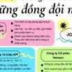 Công ty Cổ phần Hanson - Nhân viên Kinh Doanh