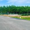 Chính chủ cần bán lô đất Chánh Phú Hoà giá tốt