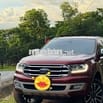 Ford Everest 2019 Titanium 2.0L AT 4x2 - 120 km