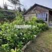 Chú Nợ Ngân Hàng Bán Homestay Có Nhà Sẵn Thị Trấn Lạc Dương Có 200m2