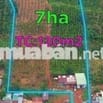 Cần bán 17m đất mặt đường+7héc đất nông nghiệp
