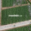 ĐẤT NỀN 2 MẶT TIỀN ĐẸP – GIÁ TỐT TẠI TRUNG TÂM ĐƠN DƯƠNG 🌿