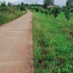 [CHỦ BÁN] 11000m² đất mặt tiền>>giá 2 TỶ khu vực Tuy Đức, Đắk Nông
