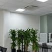 Tuyển idol livestream và các vị trí khác 