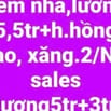 Nhân viên phòng kd làm tại VP và NV văn phòng lương CB 10tr+h.hồng