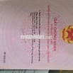 Em có mảnh đất chính chủ khu vực Hà Phong - Quảng Ninh cần bán