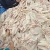 Tuyển dụng 4 lao động phổ thông - ngư phủ đi biển tại Phú Quốc, Kiên G