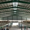 CÔNG TY NAM HẢI BÌNH ĐỊNH TUYỂN DỤNG CÔNG NHÂN ĐAN MÂY VÀ SỬA HÀNG