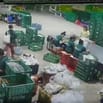 Công ty TNHH MTV Mekong delta foods cần tuyển 10 lao động PT.