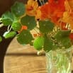 CẦN NGƯỜI PHỤ BÁN HÀNG THỜI VỤ OR LÂU DÀI 