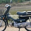 Hond Custom 100 HQCN Siêu Siêu Hiếm