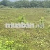 Cần Bán Lô Đất hơn 300m2 tại Thanh An, Hớn Quản,Bình Phước