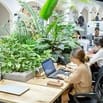 CÔNG TY CẦN TUYỂN 2 NHÂN VIÊN KẾ TOÁN KHÔNG YÊU CẦU KINH NGHIỆM 