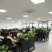 Nhân Viên Tư Vấn Dịch Vụ Viettel Giờ Hành Chính Tân Bình Hồ Chí Minh